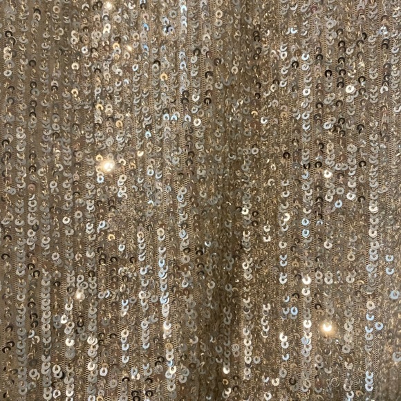 Zara sparkly sequin, linen lined inseam. Small, perfect condition. Glam,… - Picture 4 of 6